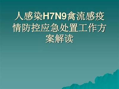 德阳出国做网络游戏推广员
