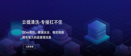 福州高防服务器 t级防护ddos 无视网络cc